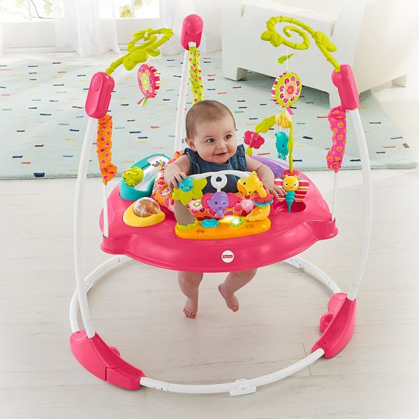Alugar Jumperoo Pink Petals em Mossoró