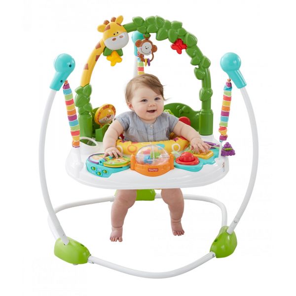 Alugar Jumperoo Go Wild em Mossoró