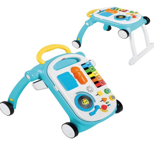 Alugar  Andador 4 em 1 Baby Einstein - LANÇAMENTO em Solânea