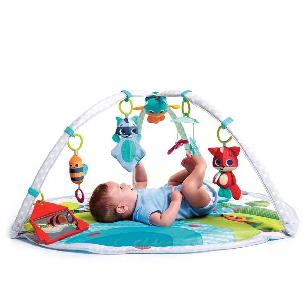 Alugar Tapete Gymini Dynamic - TINY LOVE em Cuiaba