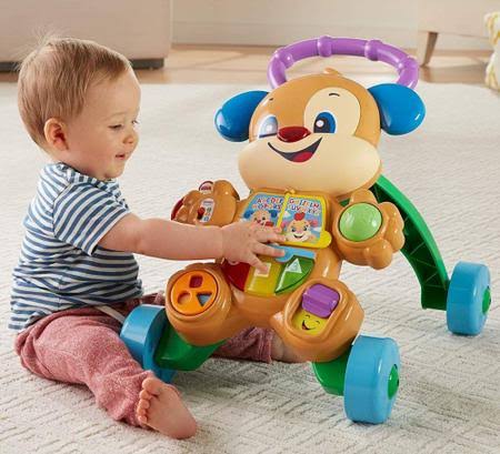 Alugar Andador Cachorrinho Puppy em Embu das Artes
