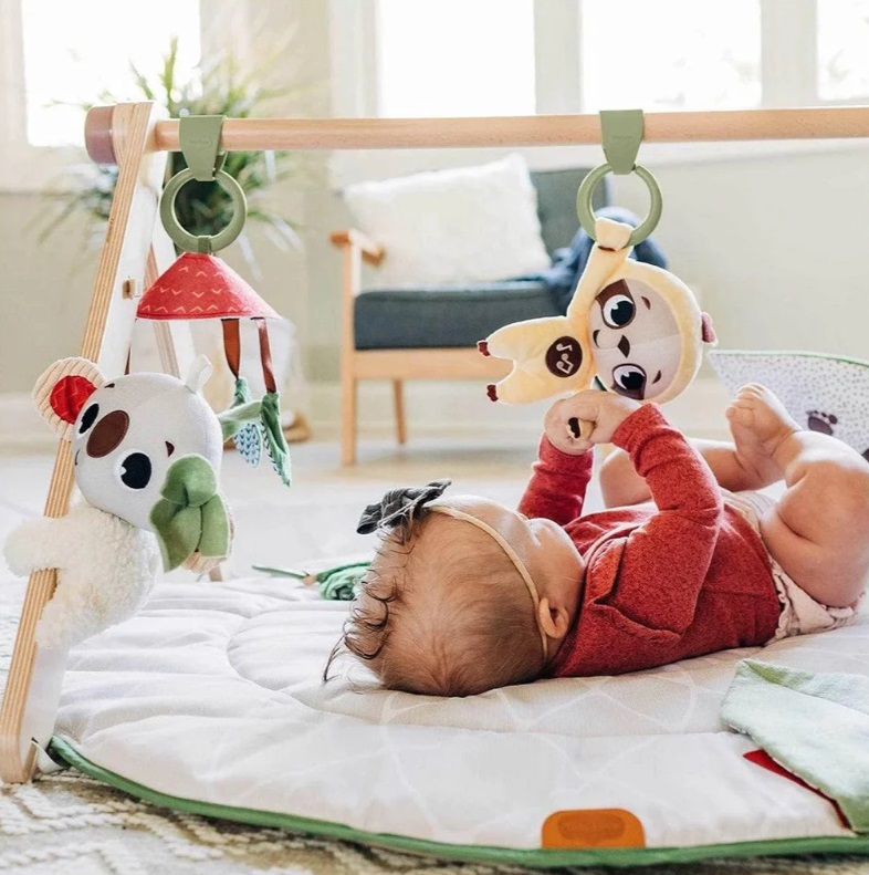 Alugar Tapete de Atividades  Developmental Boho Chic - TINY LOVE (LANÇAMENTO) em Sinop
