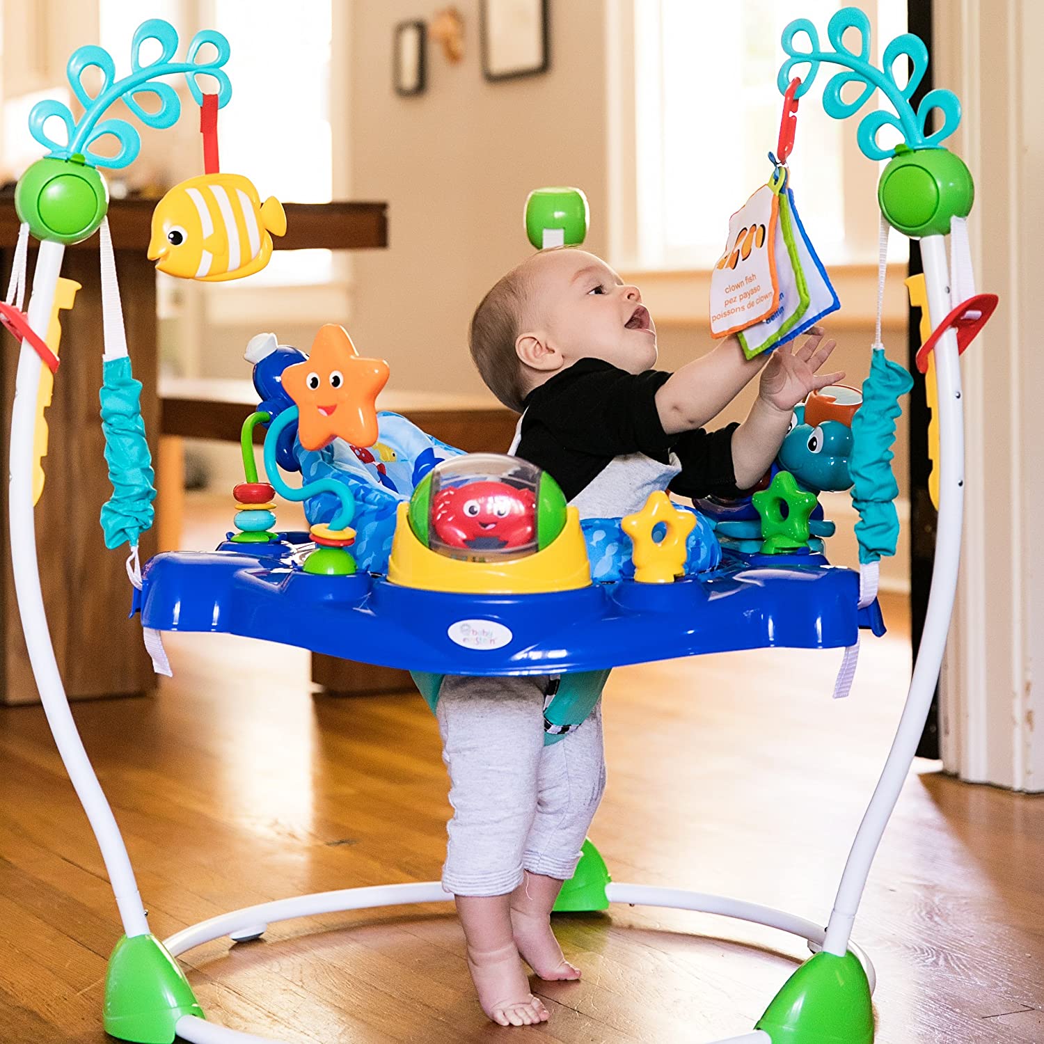 Alugar Jumperoo Netuno Oceano em Pinhais